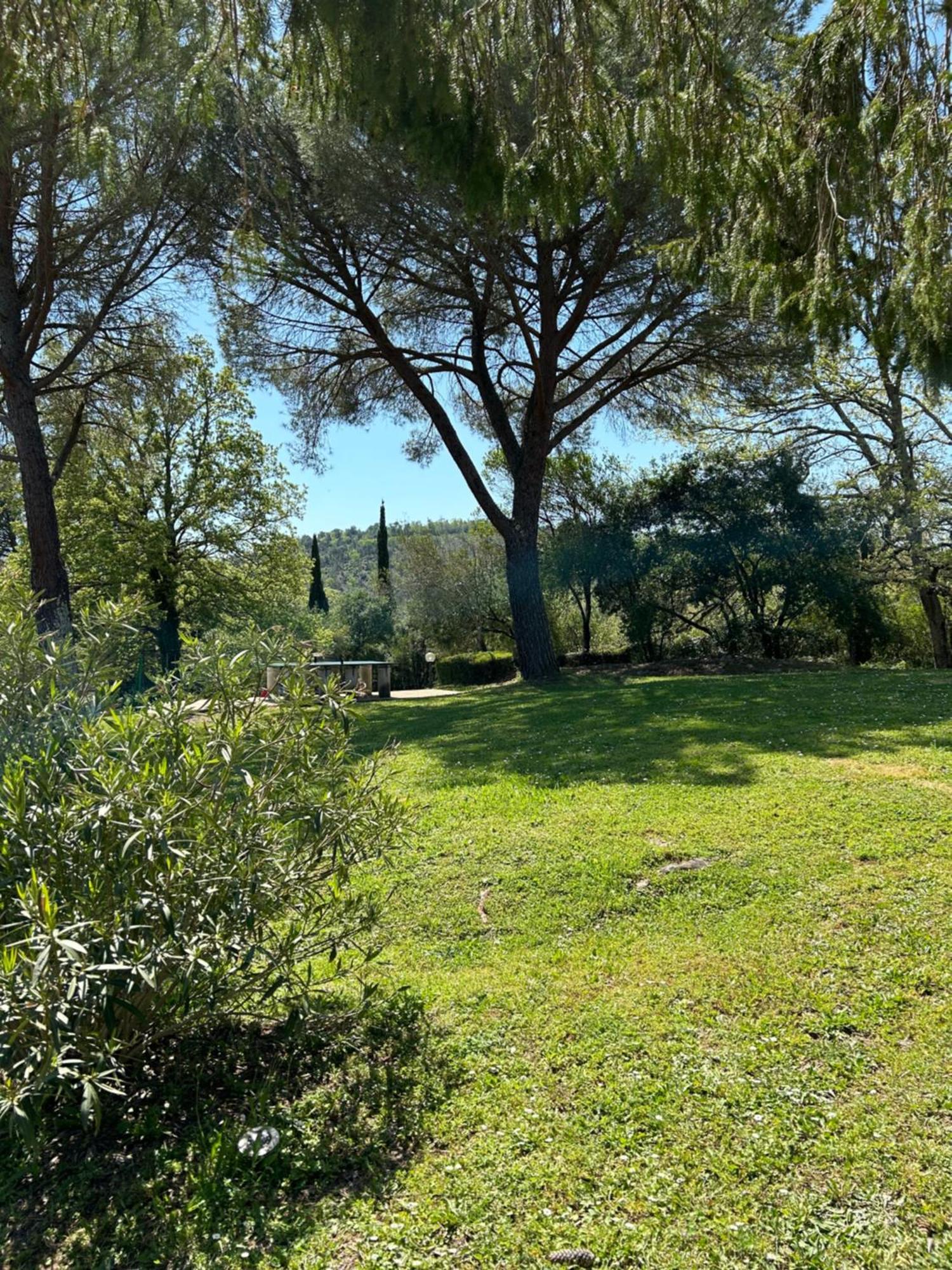 Гостьовий будинок Campo Di Carlo Сассетта Екстер'єр фото